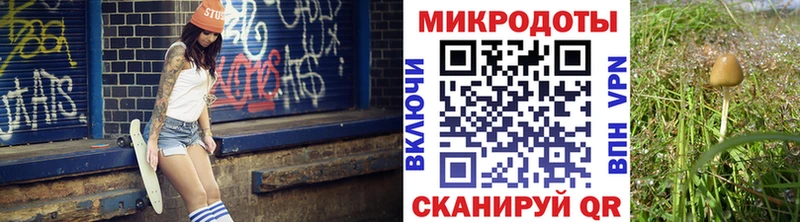 Псилоцибиновые грибы мицелий  Баймак 